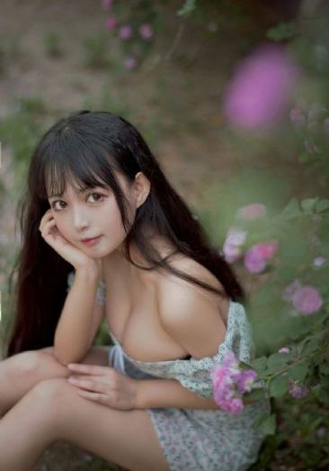 制暴电影包贝尔免费观看剧情介绍_蓝光全集在线观看