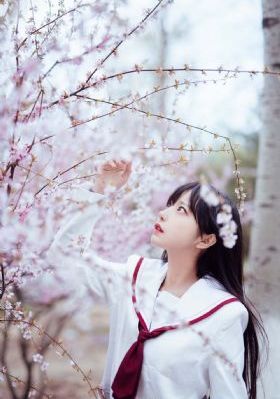 魔力看_剧情片免费观看韩国